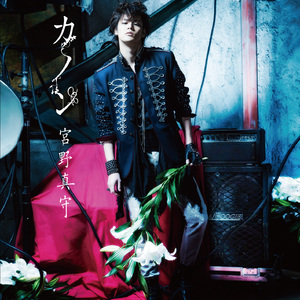 香蕉视频一时一时爽www
