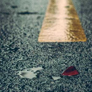 香蕉视频一时一时爽www
